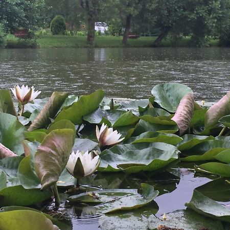 Fantanita Craiesei Hotell Făgăraş Exteriör bild